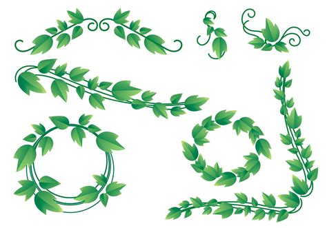 The best selection of Royalty Free Leave Vine Vector Art, Graphics and Stock Illustrations. Download 8,100+ Royalty Free Leave Vine Vector Images.